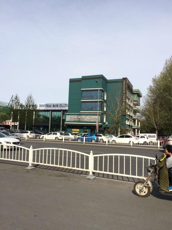 Beijing Phoenix Tree Hotel Daxing  Экстерьер фото